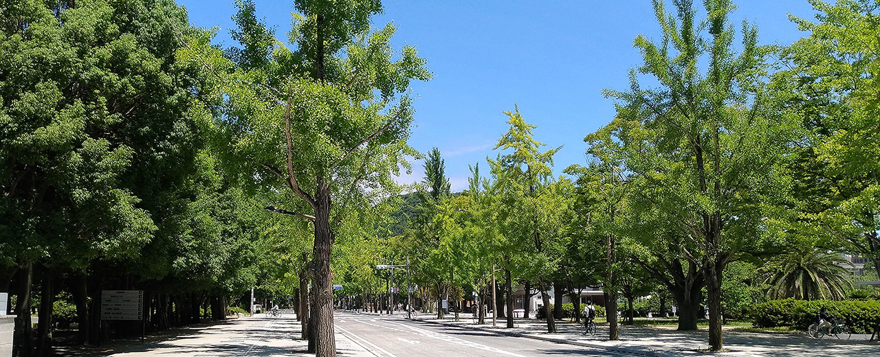 校内風景
