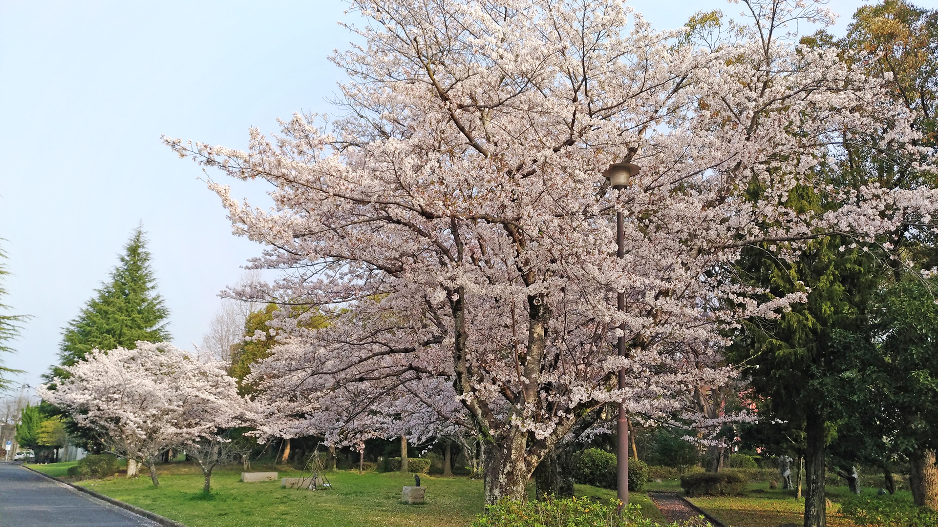 育委員会・学校現場と強い連携
